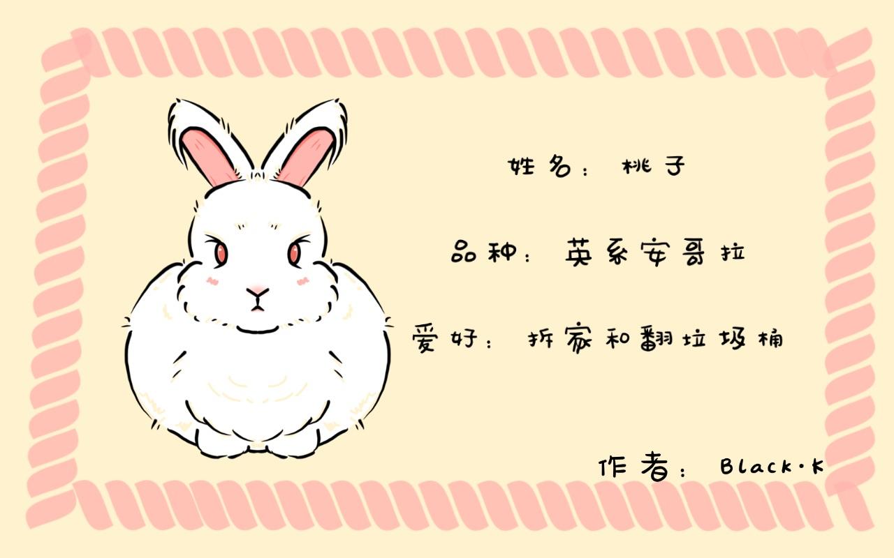 小兔桃桃 - 搗蛋日常 - 1