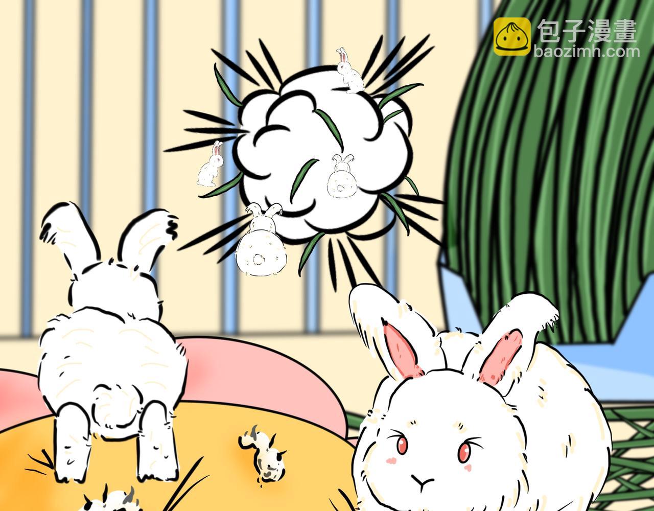 小兔桃桃 - 搗蛋日常 - 5