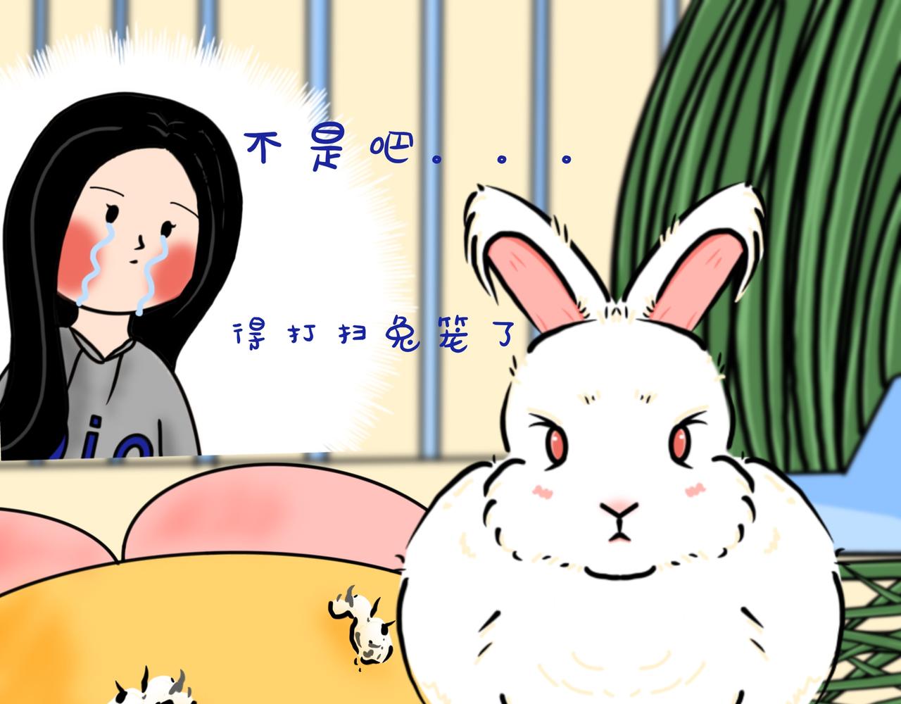 小兔桃桃 - 搗蛋日常 - 5