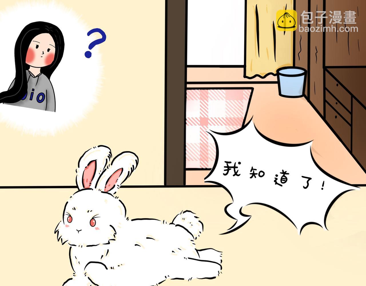 小兔桃桃 - 搗蛋日常 - 3