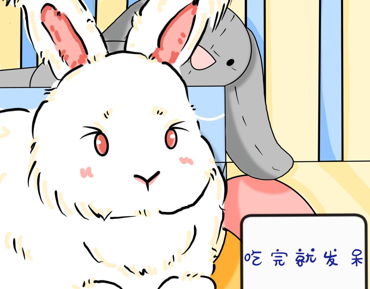 小兔桃桃 - 兔兔everyday - 3