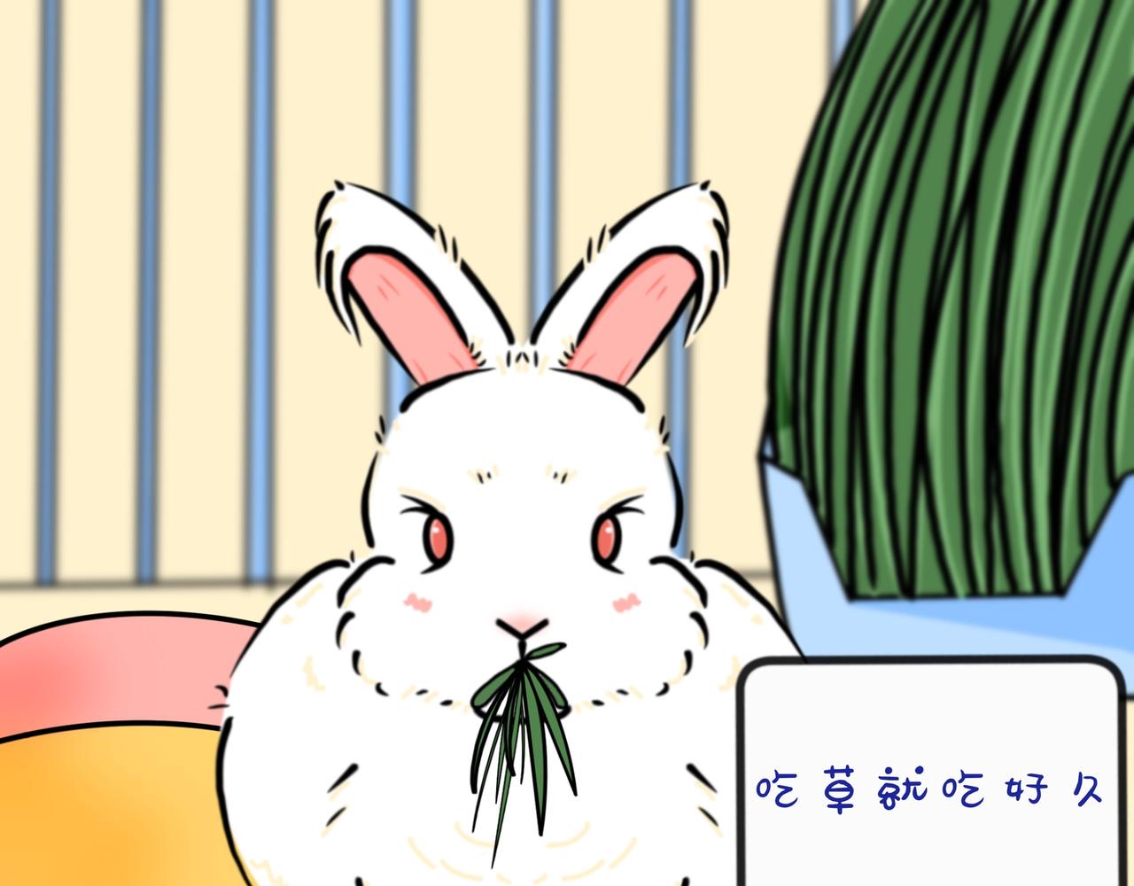 小兔桃桃 - 兔兔everyday - 5