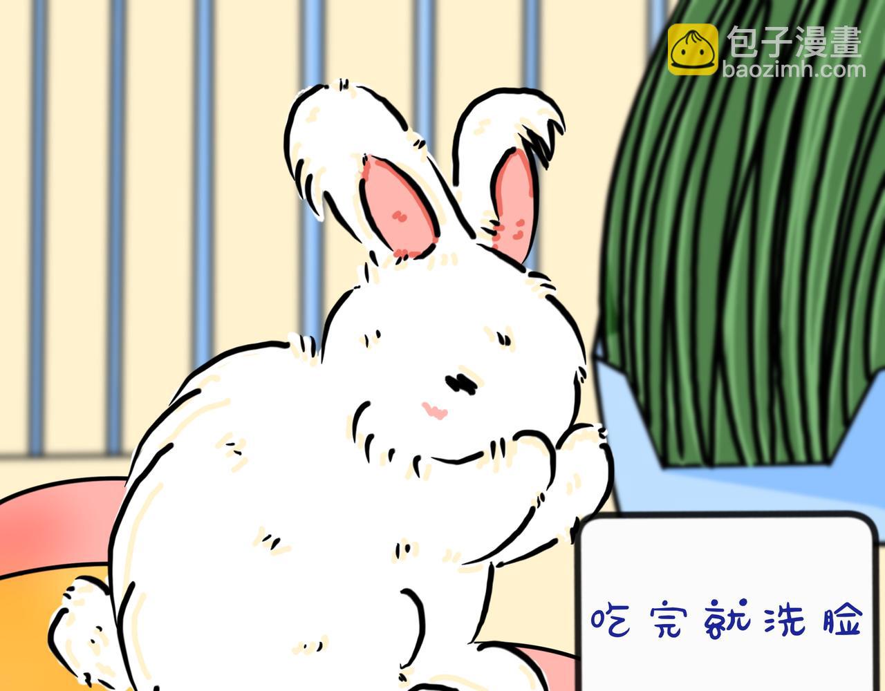 兔兔everyday-第22话