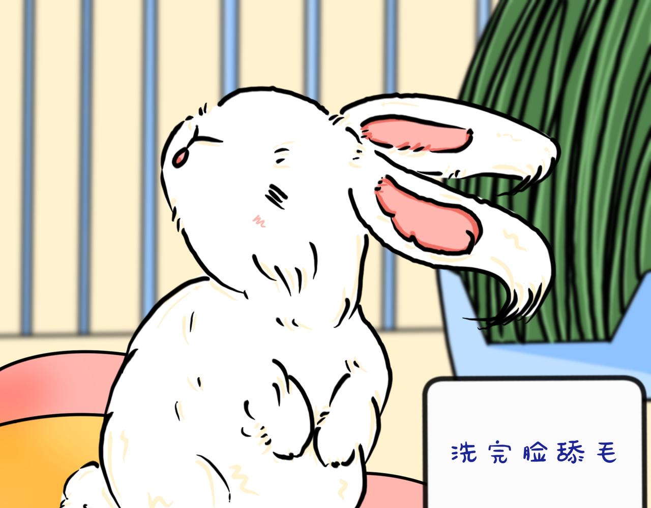 兔兔everyday-第22话