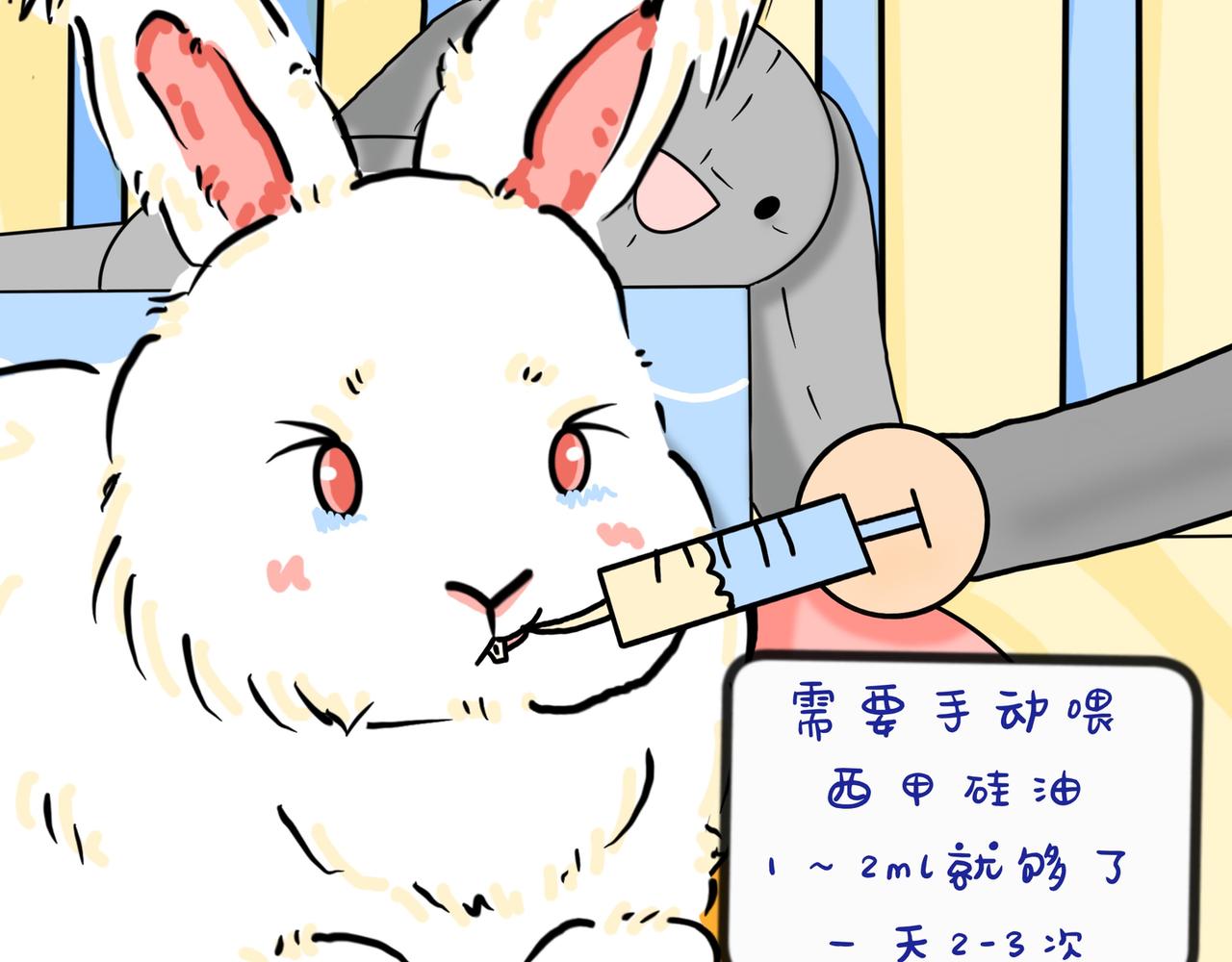 兔兔胀气怎么办-第26话