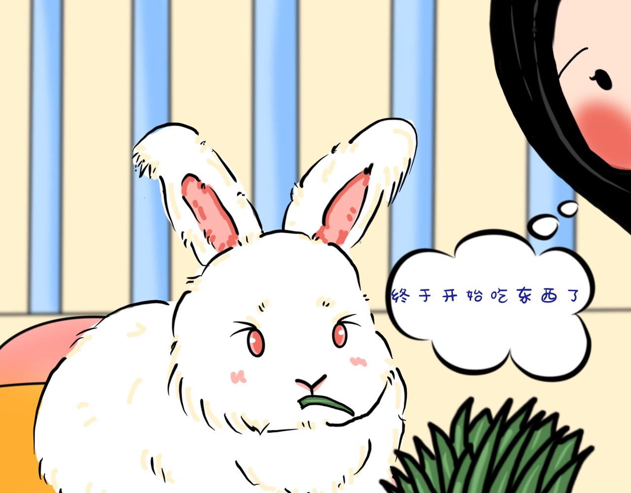兔兔胀气怎么办-第26话