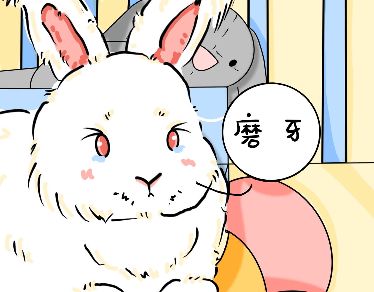兔兔胀气怎么办-第26话