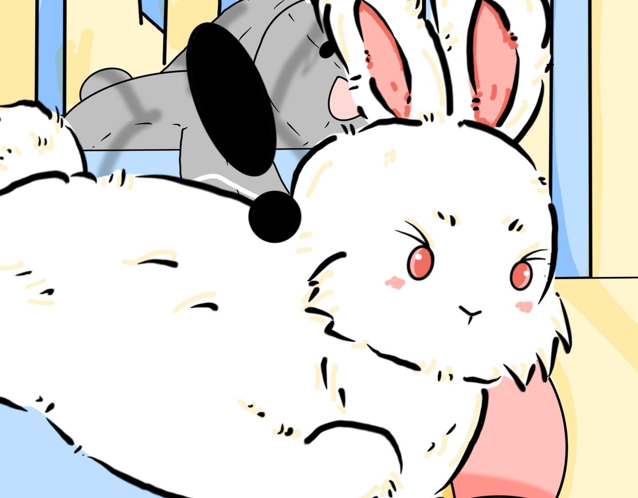 呼叫桃子-第30话