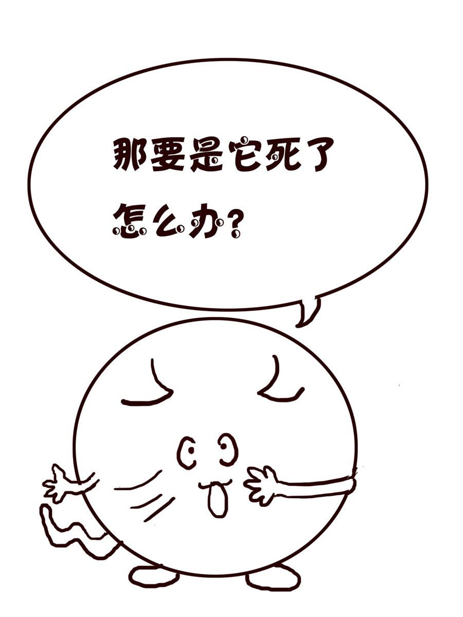 小小笑話 - 小小笑話 第30集 - 1