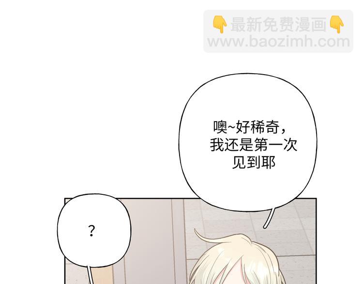 第31话 高级食物(1/3)-第36话