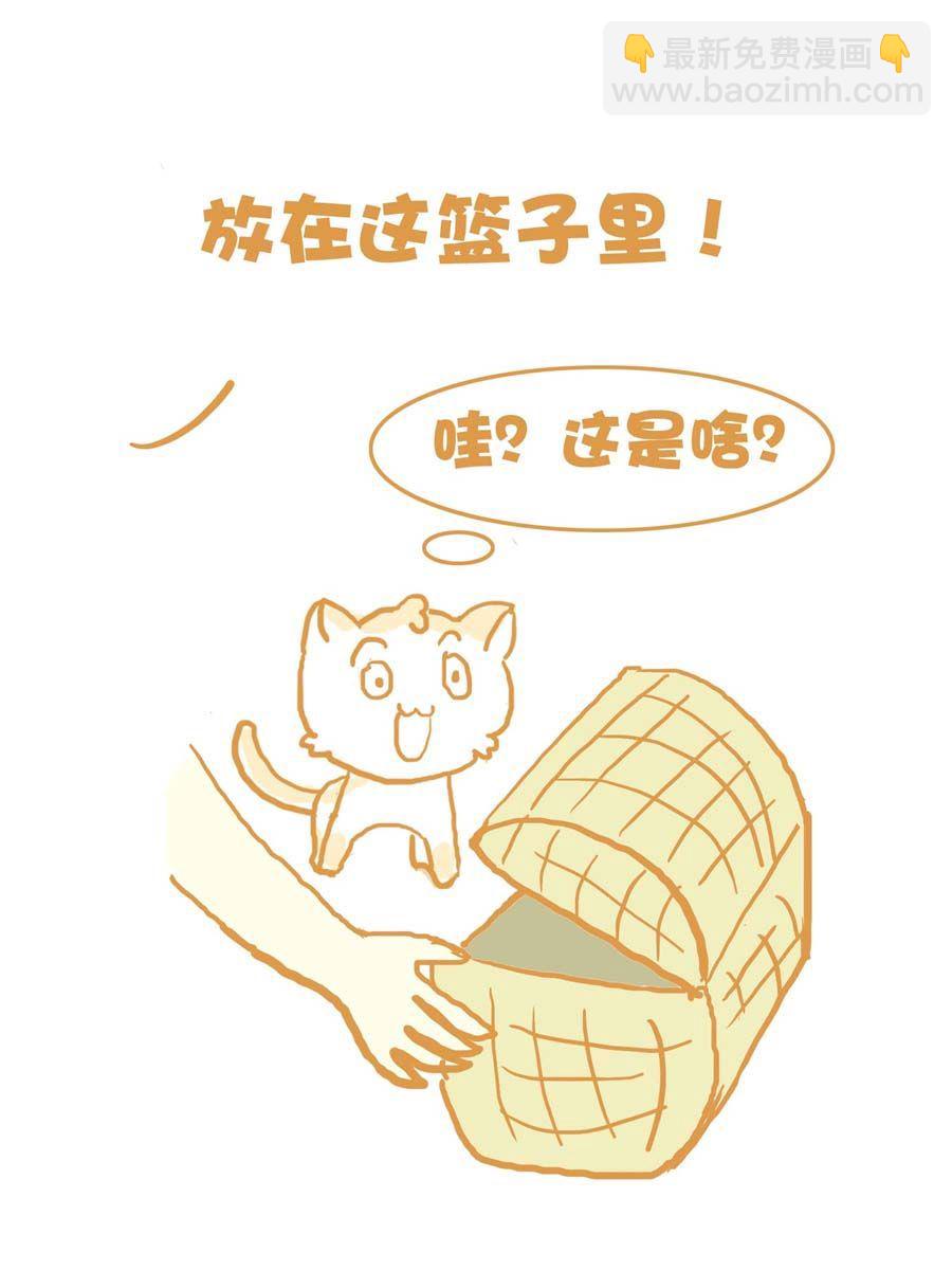 小萱养猫记 - 小萱养猫记 第4集(1/2) - 4