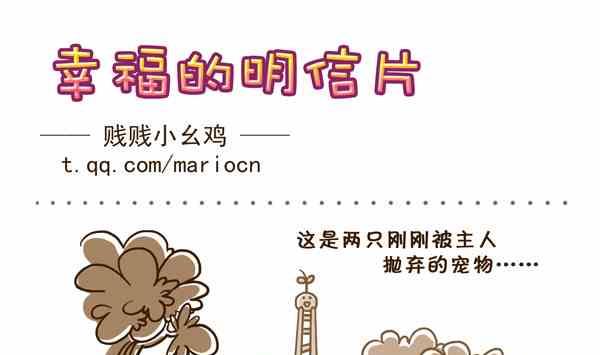 幸福的明信片-第20话
