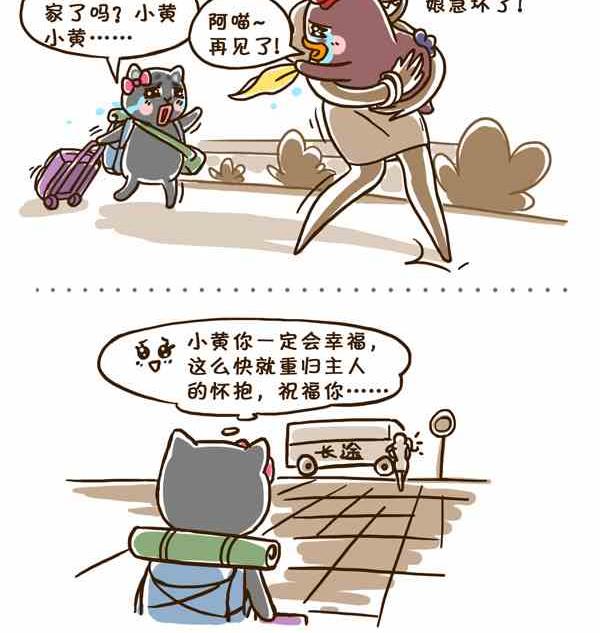 幸福的明信片-第20话