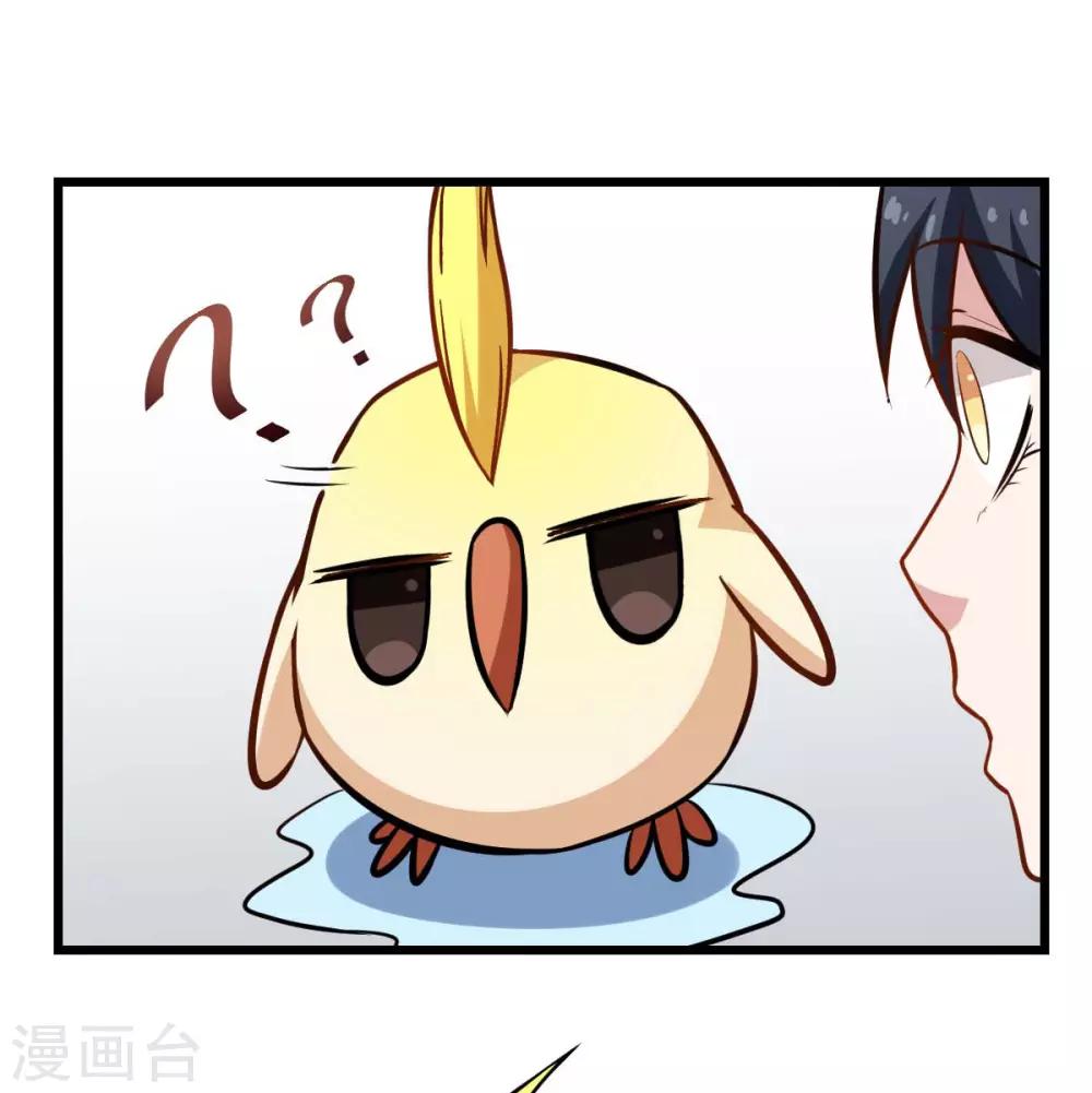 校園狂師 - 第78話 跪下吧 - 5