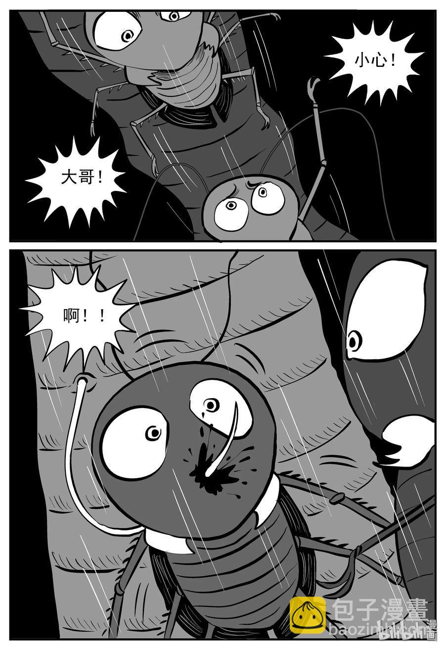 小智怪談 - 146 蟑螂記（1） - 4