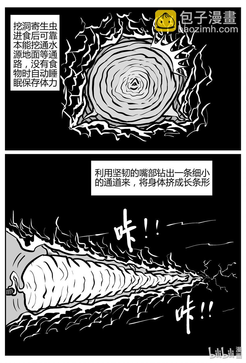 小智怪談 - 038 它：源（6） - 1