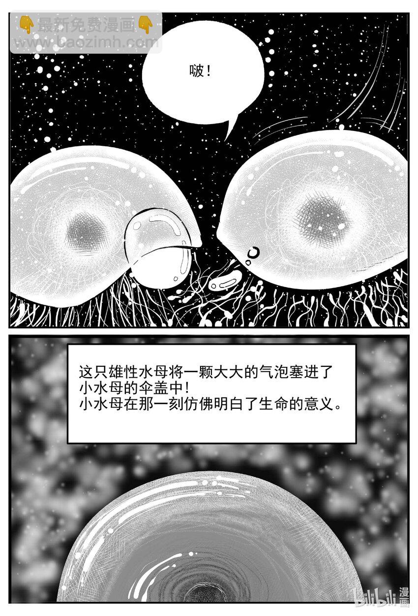 小智怪談 - 825 迴歸 - 3