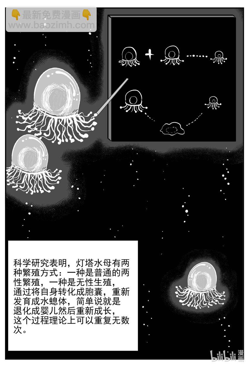 小智怪談 - 825 迴歸 - 4