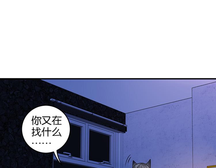 第28话 追踪咒(1/2)-第28话