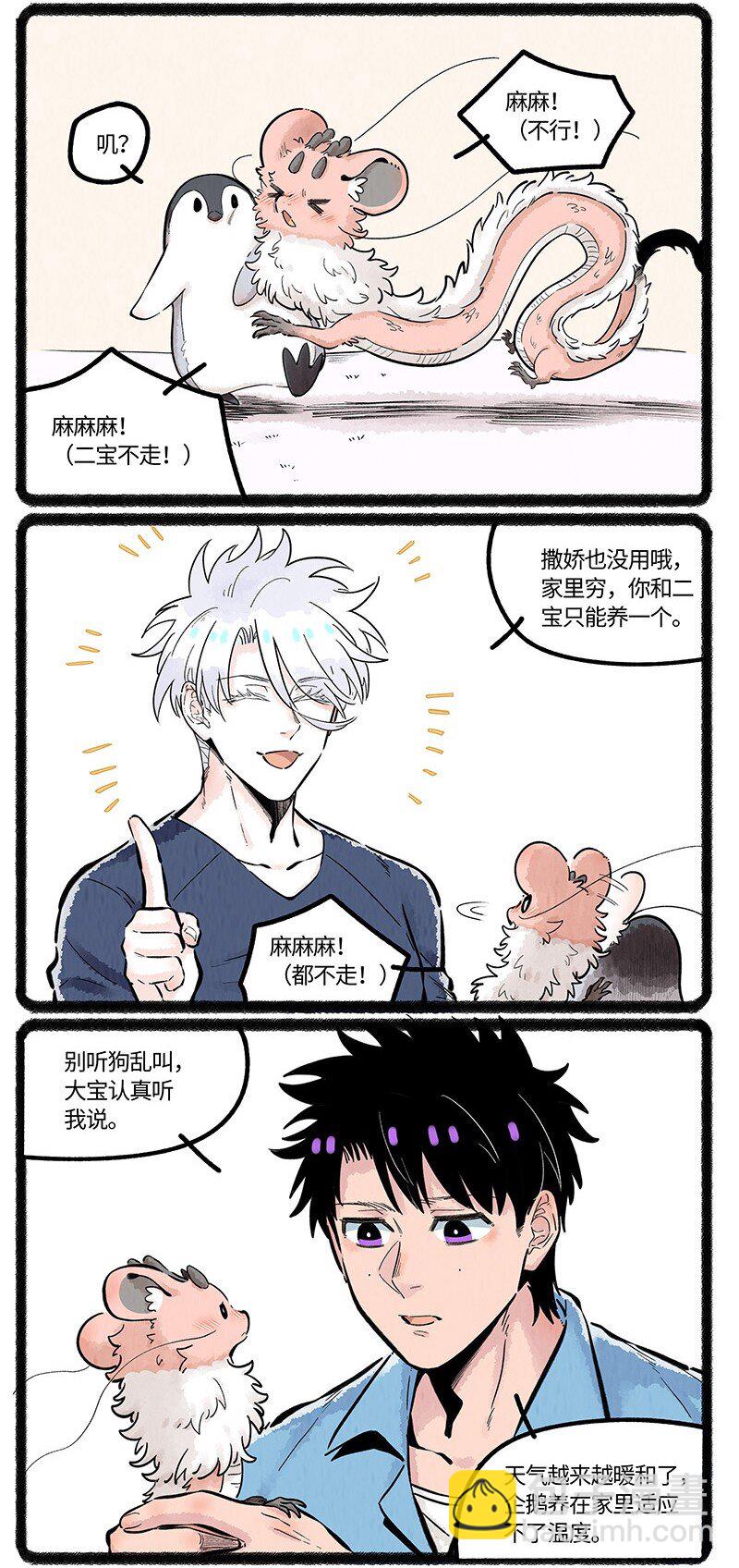 043 动物园奇妙夜-第44话