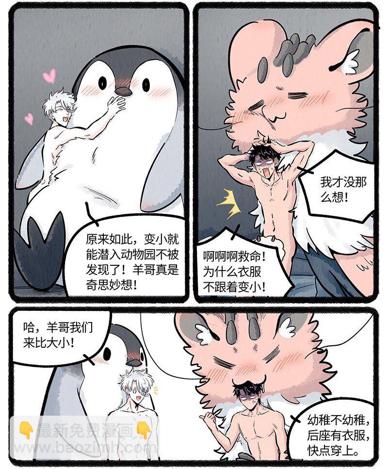 043 动物园奇妙夜-第44话