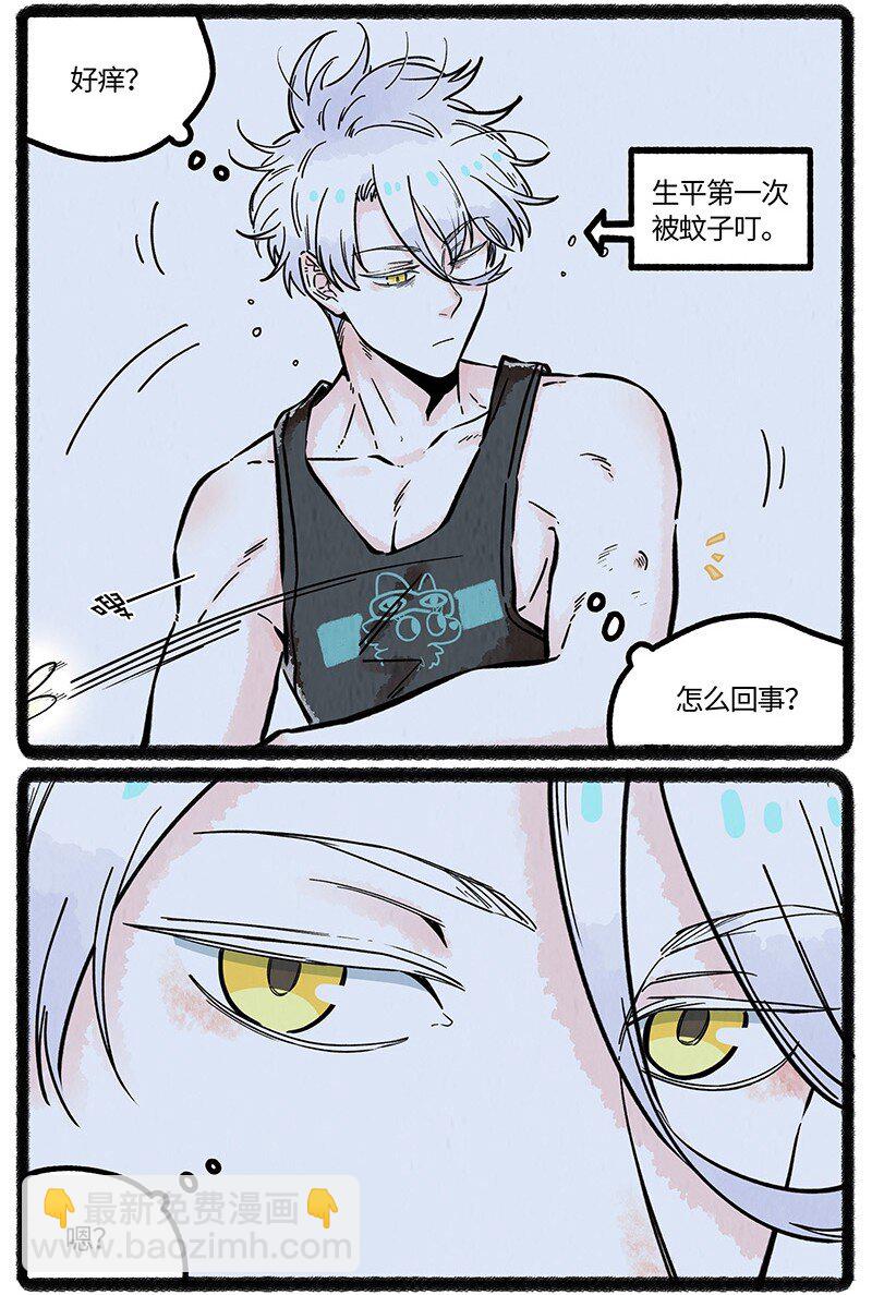 063 夏天的烦恼-第64话