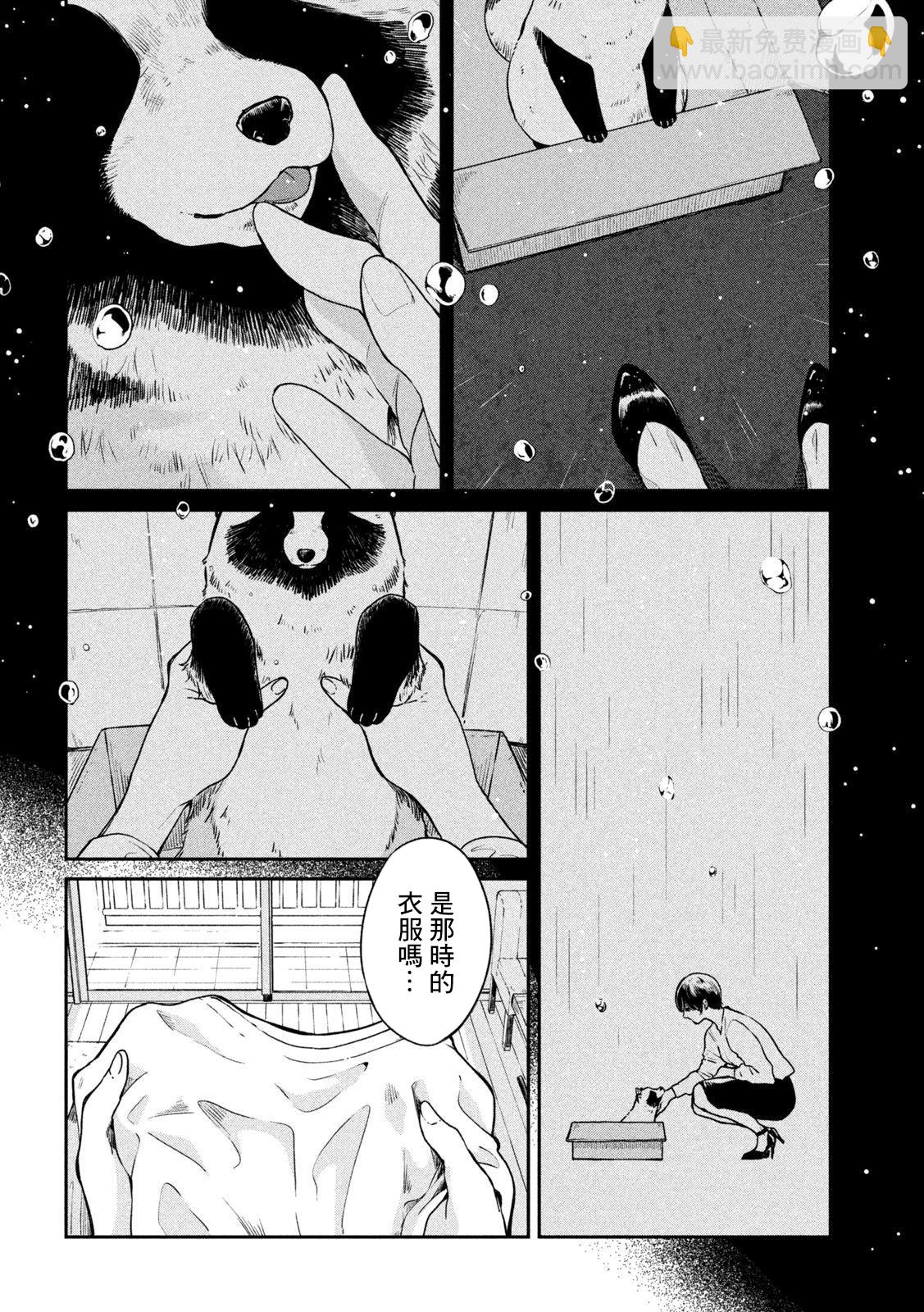 邂逅雨中貉 - 第67話 - 2