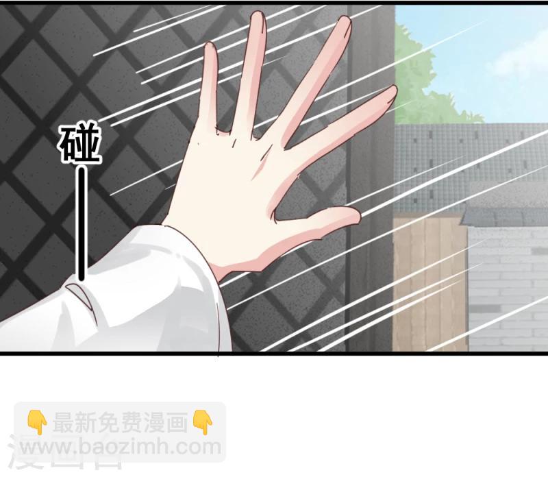 第48话 张老伯的礼物-第50话