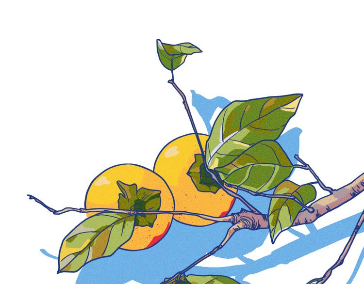 第3话 植物克星(1/3)-第4话