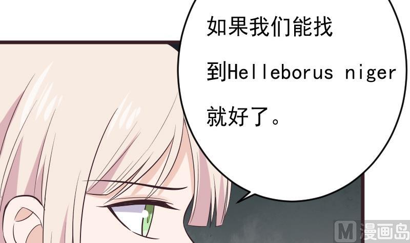 血族男神別咬我 - 第276話 聖誕玫瑰(1/2) - 7