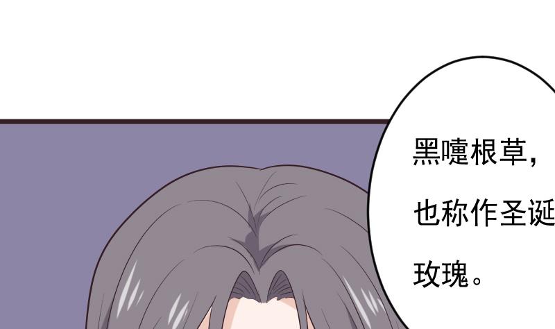 血族男神別咬我 - 第276話 聖誕玫瑰(1/2) - 4