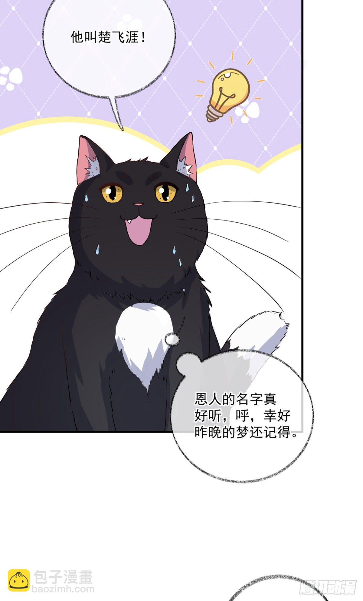 戲精的強制報恩 - 你是這樣的恩人喵~ - 4