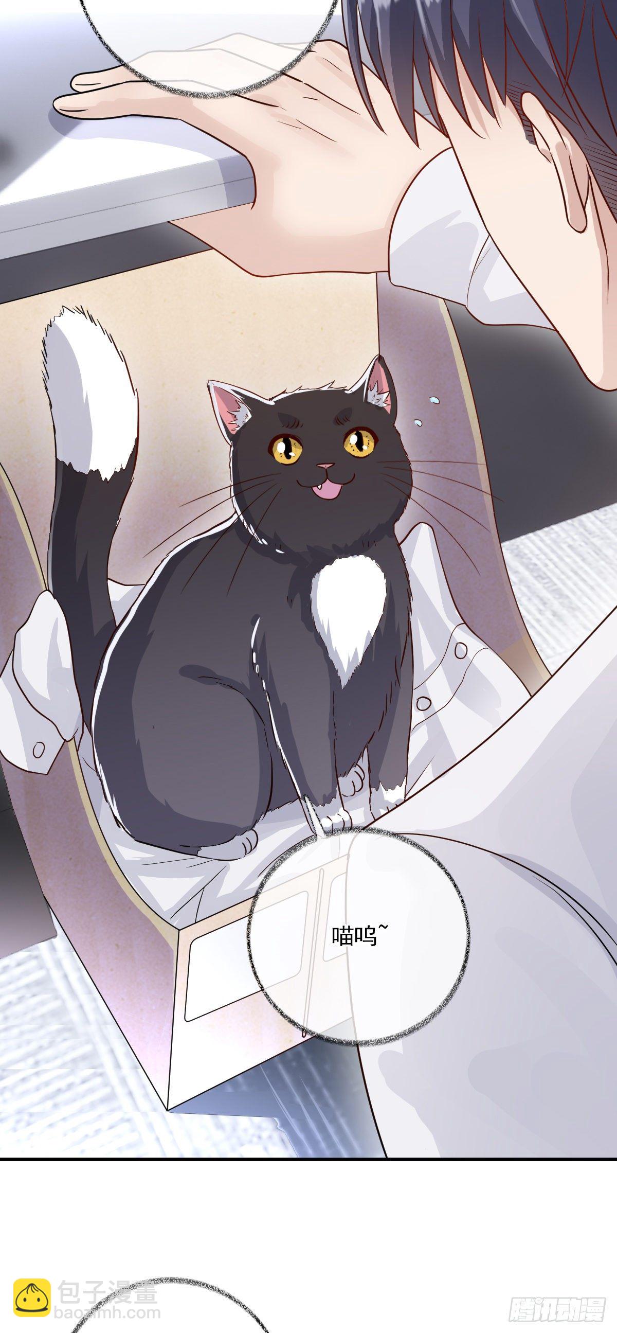 戲精的強制報恩 - 玩這麼激烈喵~ - 6