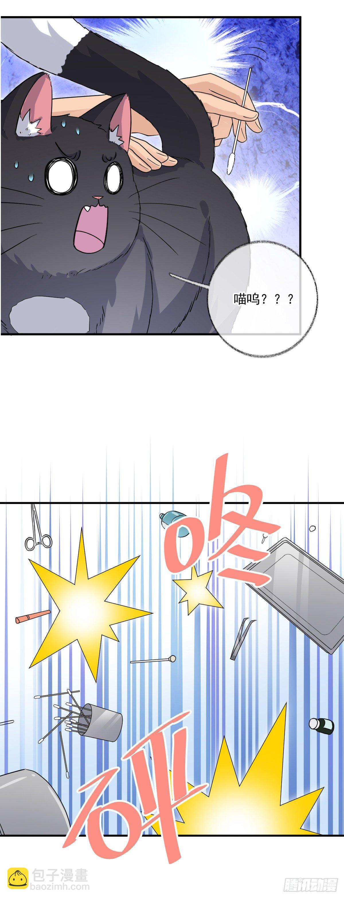 戲精的強制報恩 - 我不絕育喵！ - 4