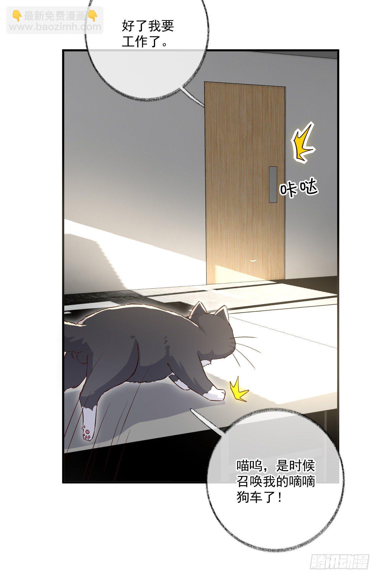 戲精的強制報恩 - 我不絕育喵！ - 6