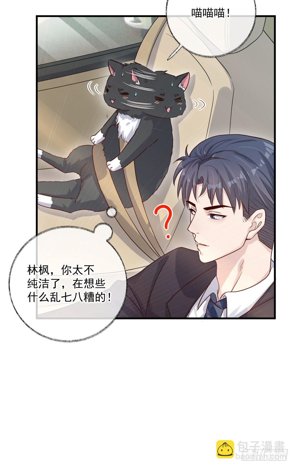 戲精的強制報恩 - 我不絕育喵！ - 7