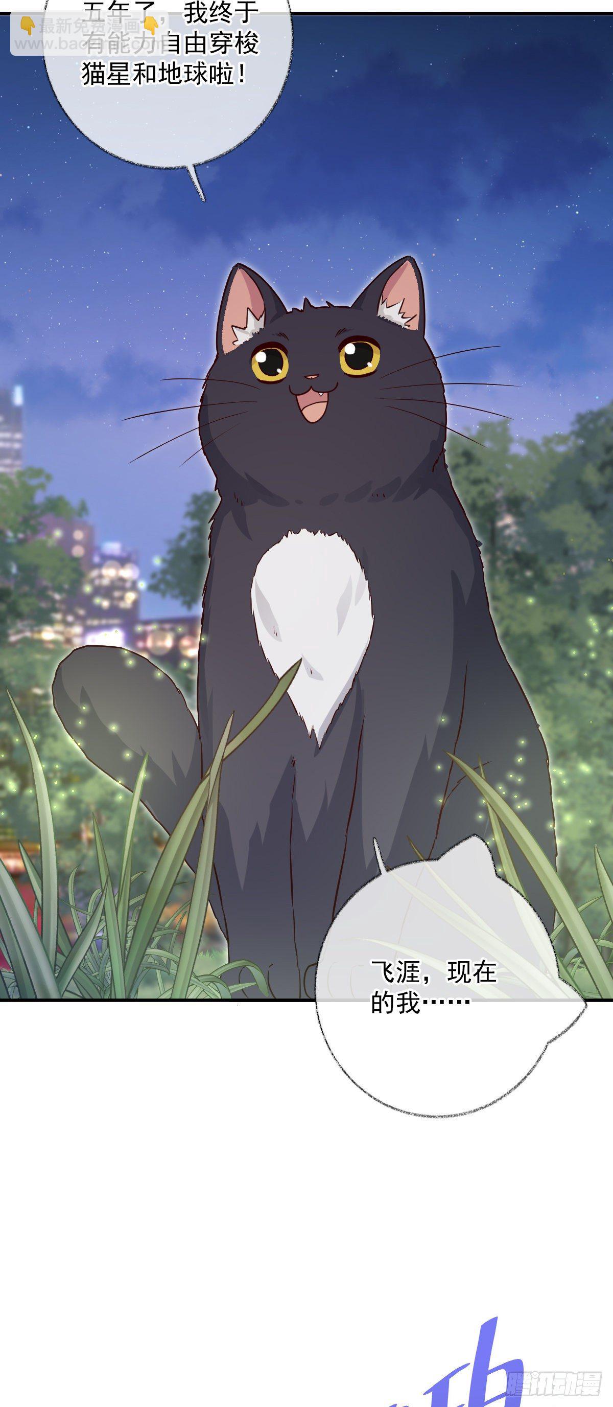 戲精的強制報恩 - 完結：一如初見喵~ - 5