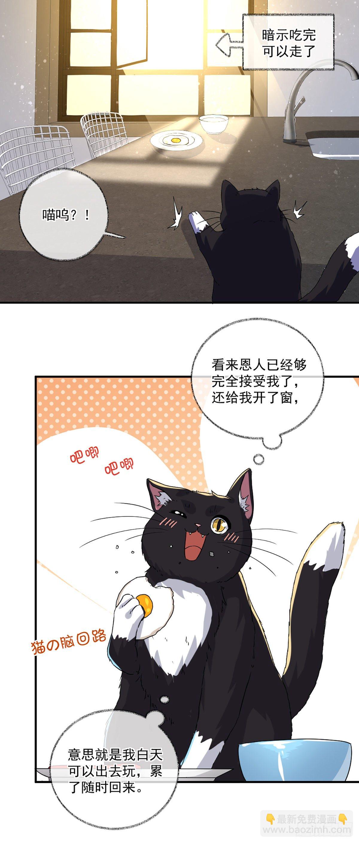 戲精的強制報恩 - 不要趕我走喵~ - 5