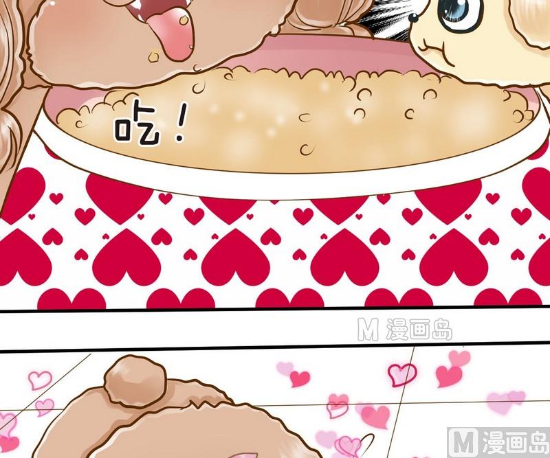 第12话 吃饱饱玩球球-第12话