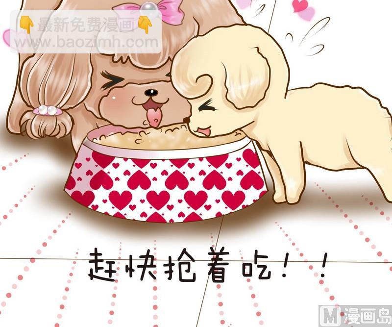 第12话 吃饱饱玩球球-第12话