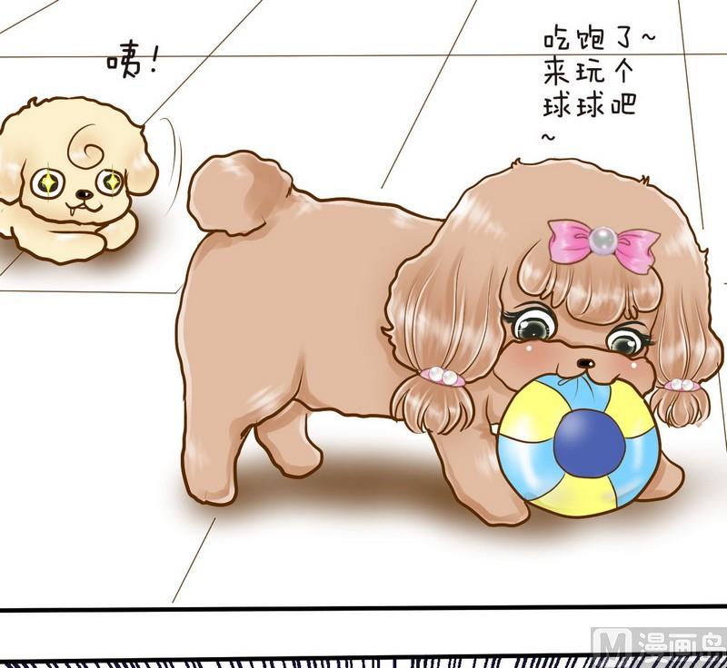 第12话 吃饱饱玩球球-第12话