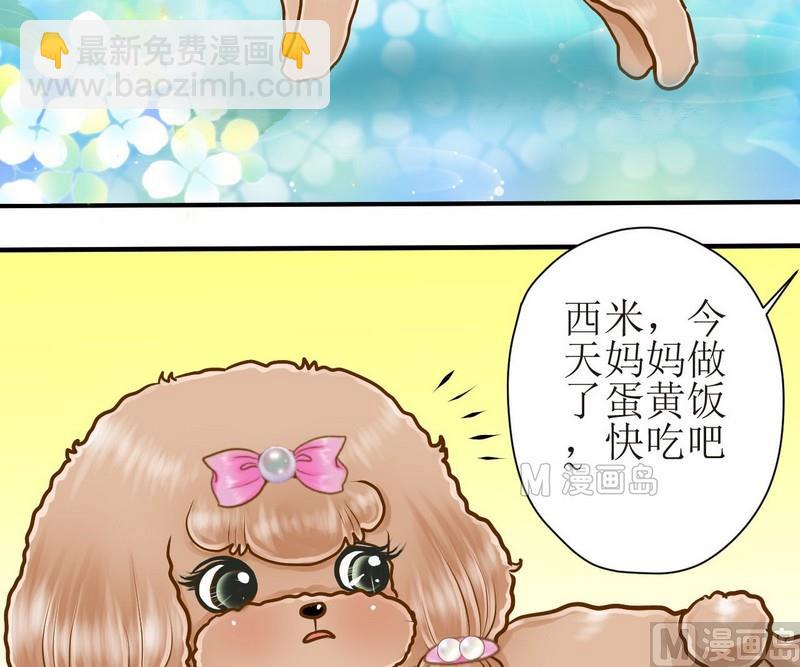 第12话 吃饱饱玩球球-第12话