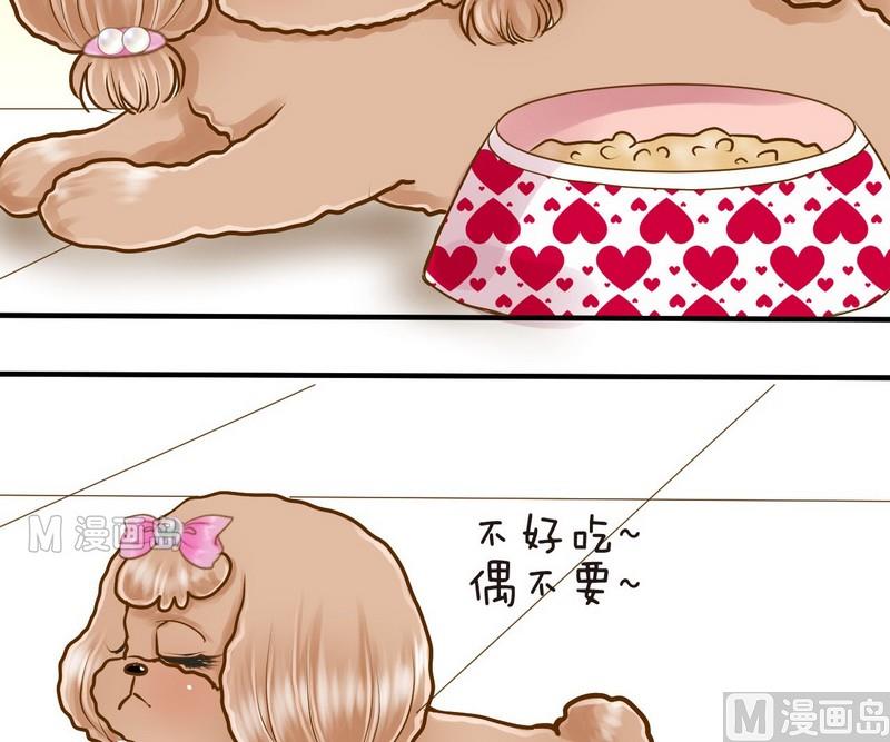 第12话 吃饱饱玩球球-第12话