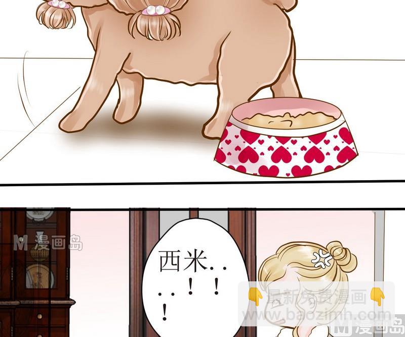 第12话 吃饱饱玩球球-第12话