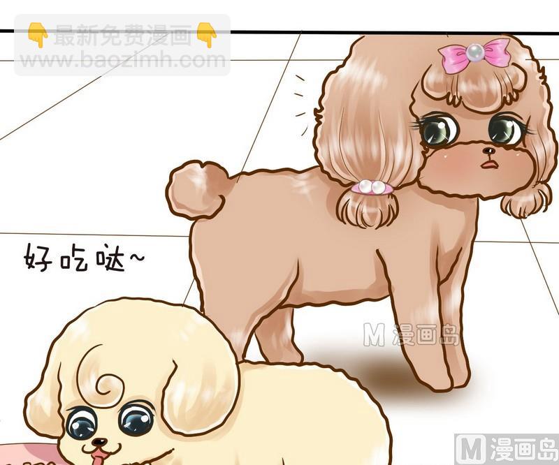 第12话 吃饱饱玩球球-第12话