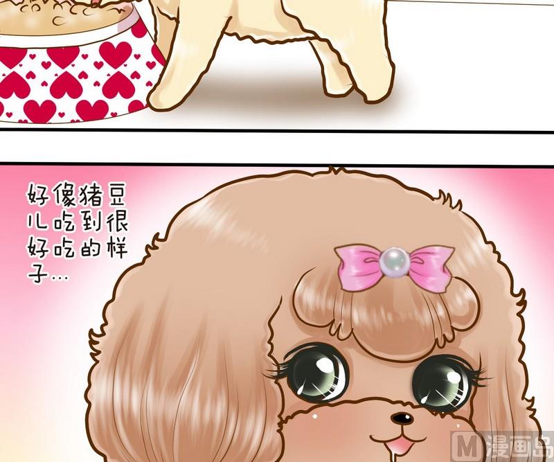 第12话 吃饱饱玩球球-第12话