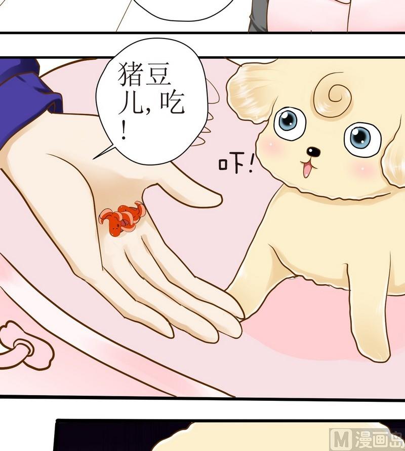 第14话 粑粑的训练课（下）-第14话