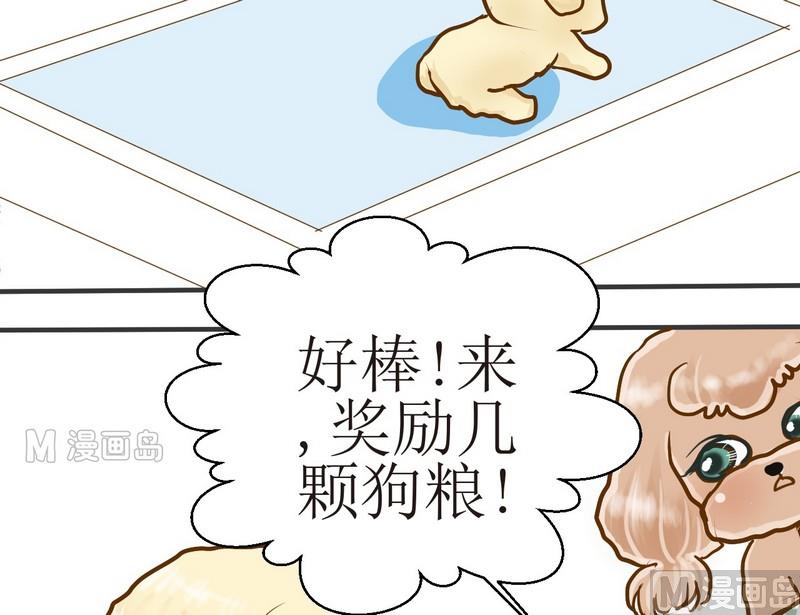 第6话 开课啦（上）-第6话