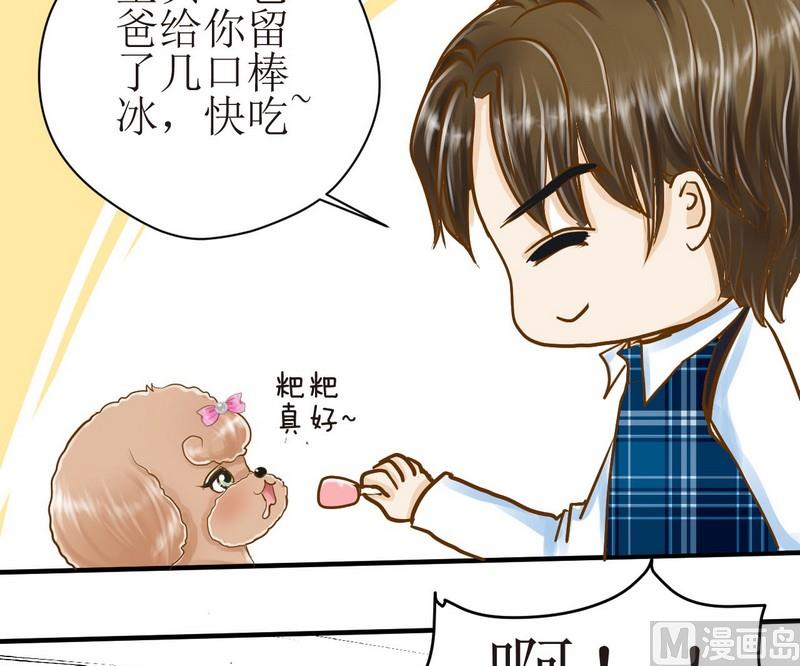 第8话 汝名猪豆儿-第8话