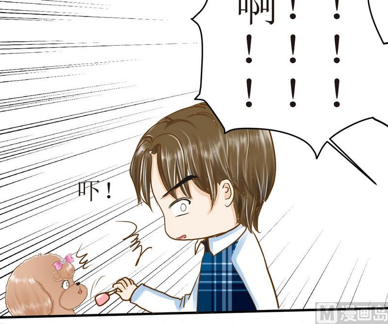 第8话 汝名猪豆儿-第8话